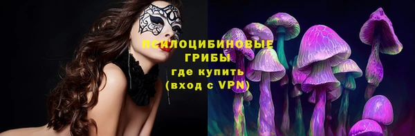 дмт Абаза