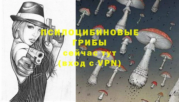 дмт Абаза