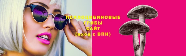 ГАЛЛЮЦИНОГЕННЫЕ ГРИБЫ Протвино