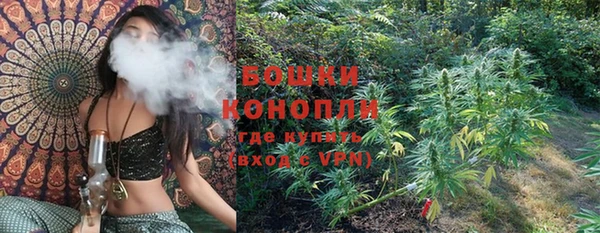 гашик Елизово