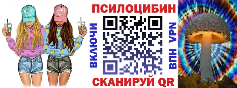 Псилоцибиновые грибы Cubensis  это формула  Заринск 