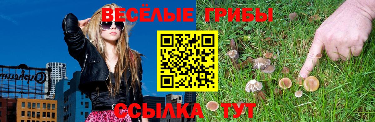 Заринск  Псилоцибиновые грибы GOLDEN TEACHER  Вход с VPN 